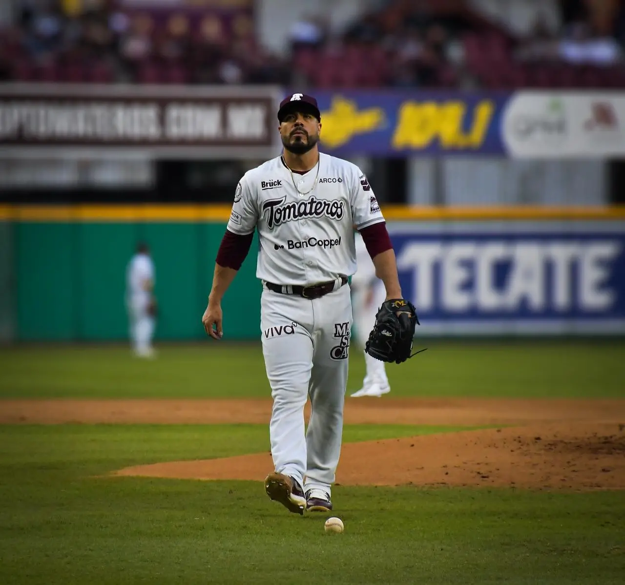 $!Tomateros pega primero en semifinales con blanqueada sobre Algodoneros