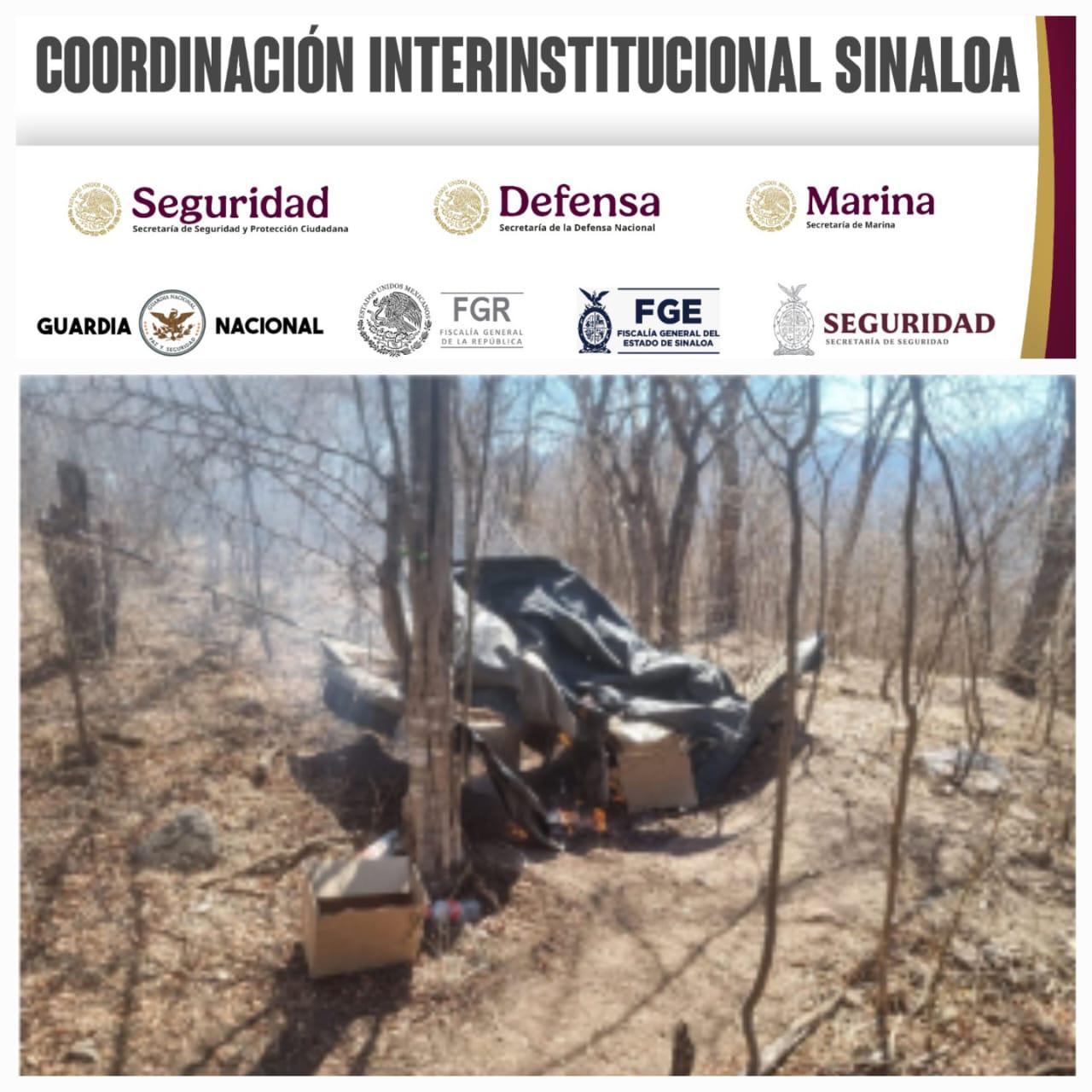 $!Ejército desmantela dos campamentos clandestinos en Potrerillos de los Torres, en Cosalá