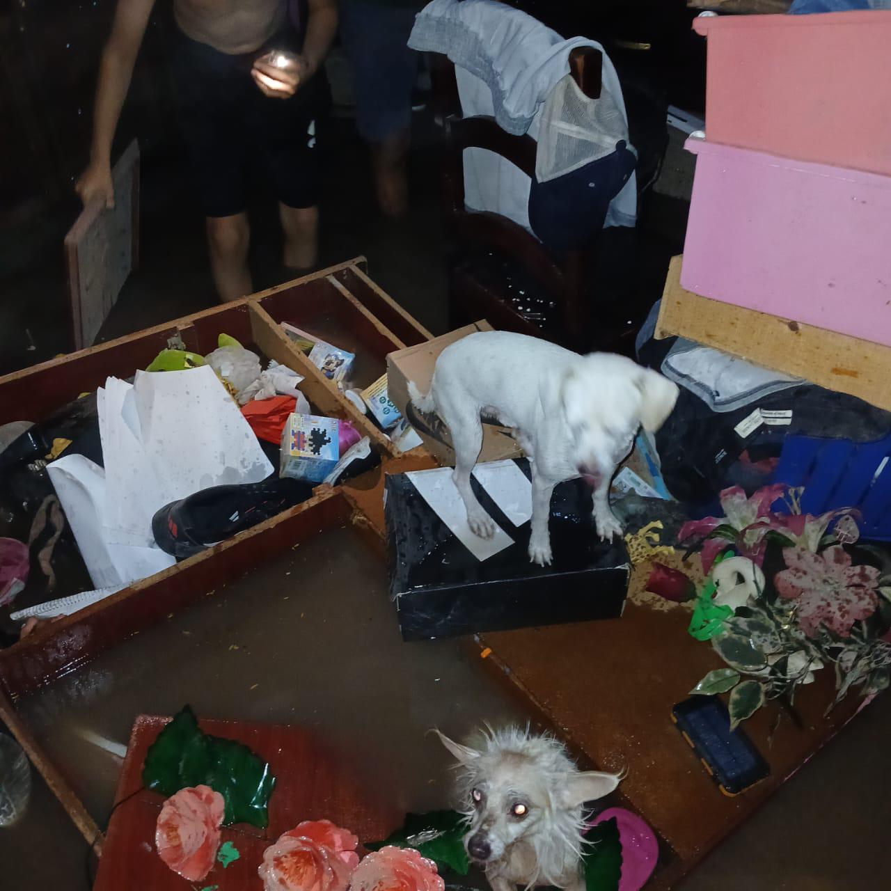 $!En la comunidad de Palmillas, las lluvias hace renacer el temor de perder todo