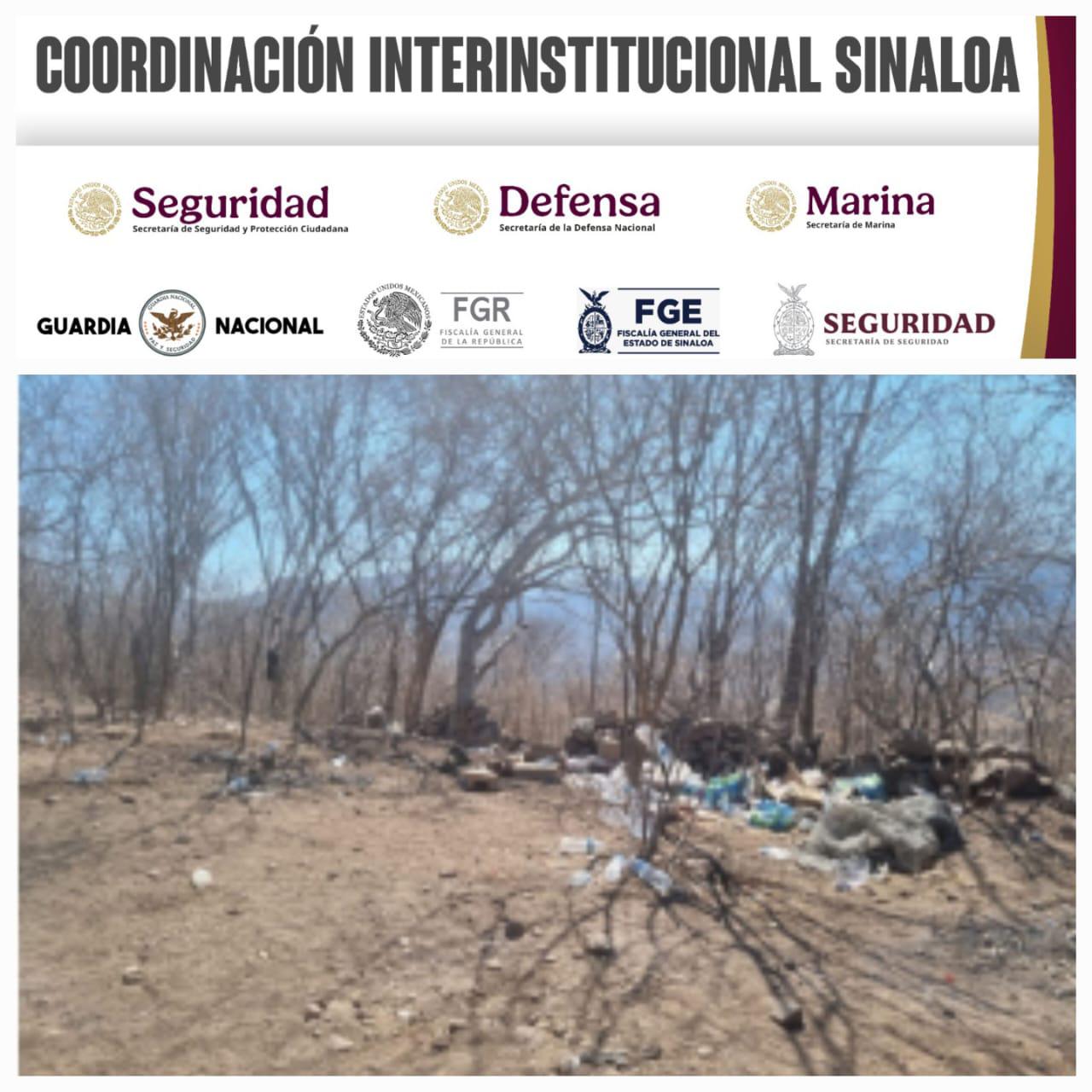 $!Ejército desmantela dos campamentos clandestinos en Potrerillos de los Torres, en Cosalá