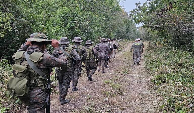 El crimen organizado ejerce una presión sin precedentes sobre la selva tropical más grande de Guatemala