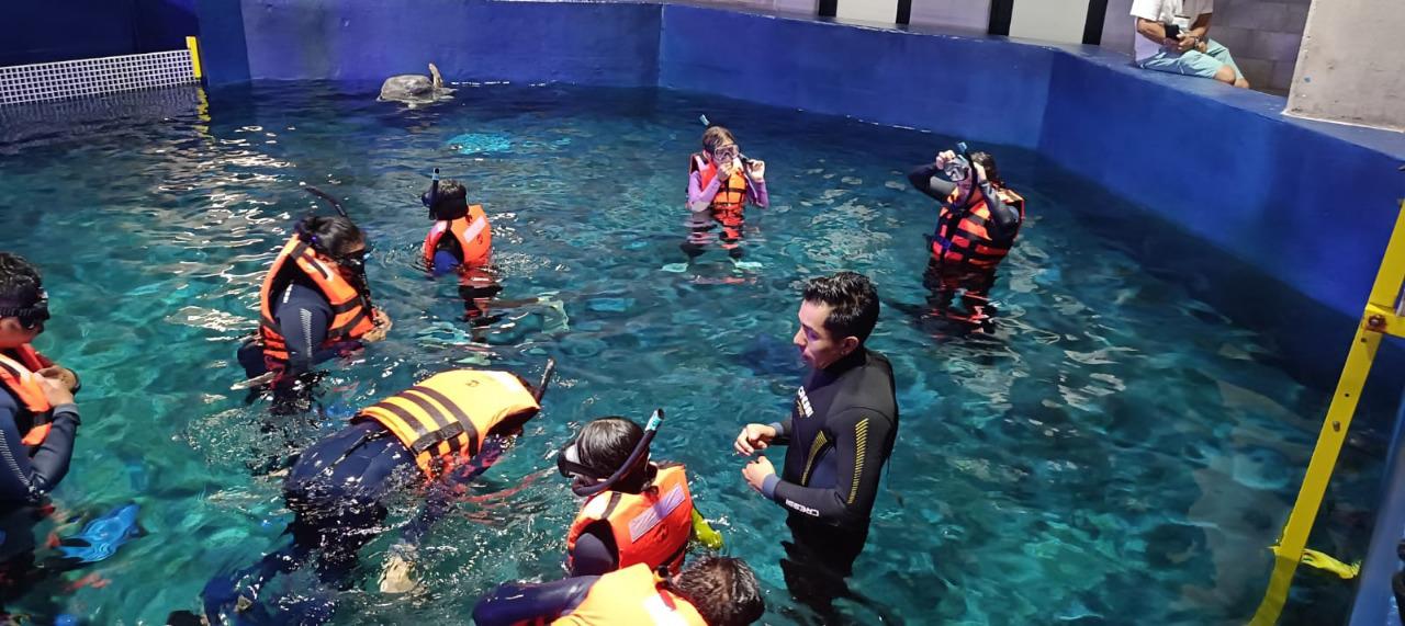 $!Surfistas sinaloenses viven una experiencia en el Gran Acuario Mazatlán