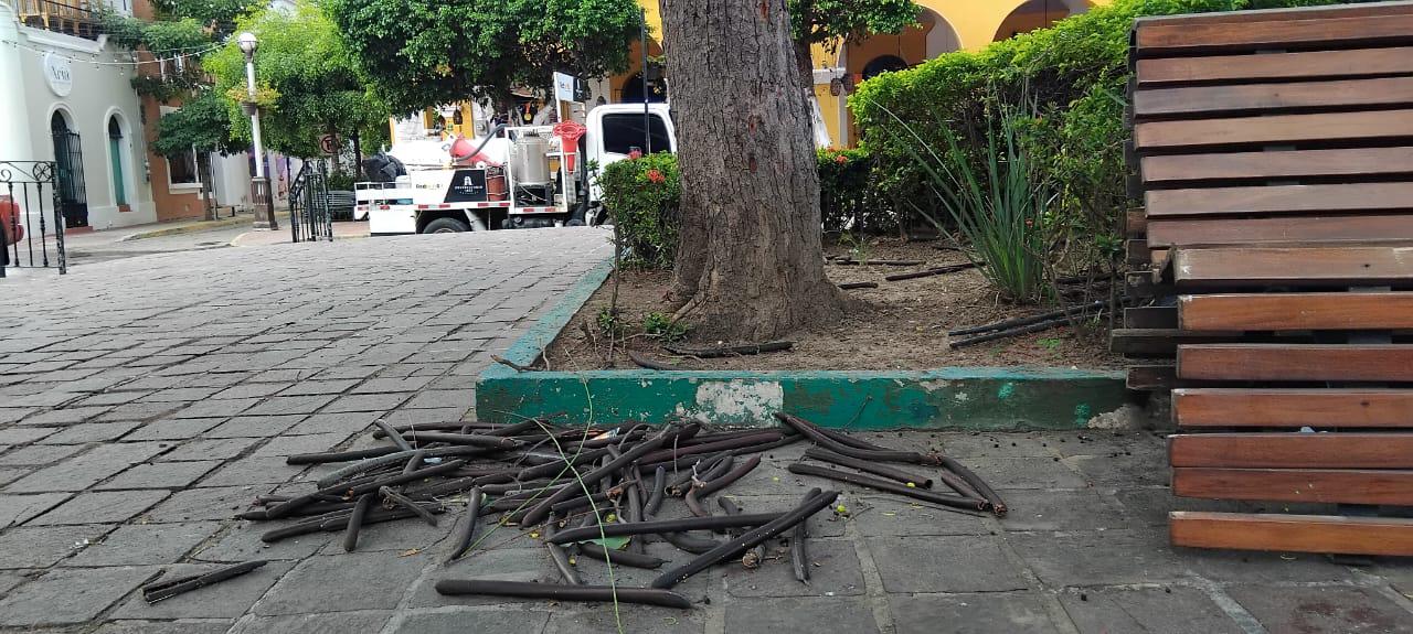 $!Luce Centro Histórico de Mazatlán con agua estancada y basura acumulada