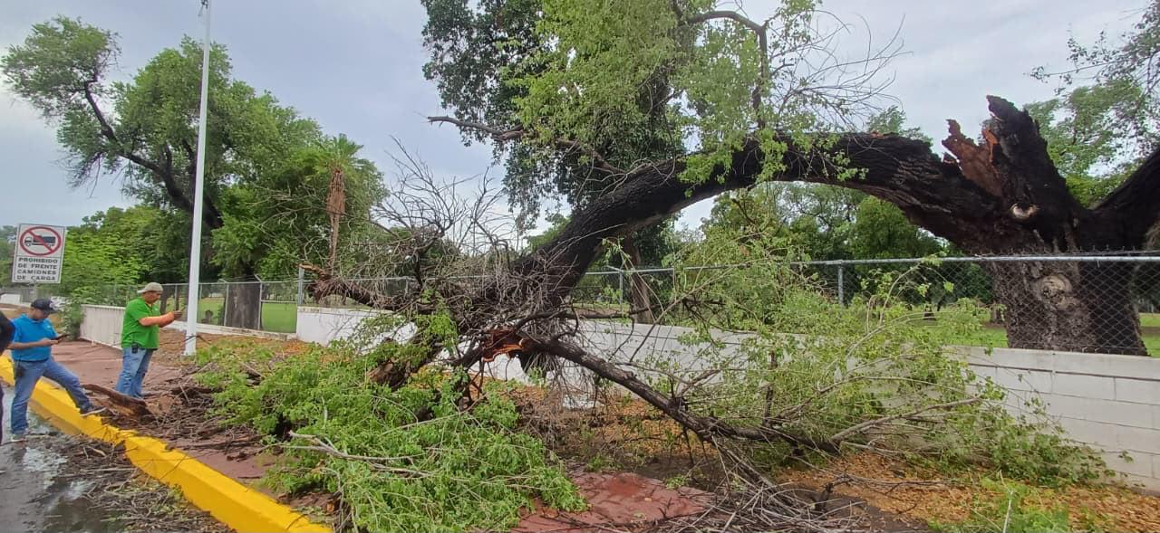 $!Reportan saldo blanco tras lluvias en Culiacán; Protección Civil atiende incidentes menores