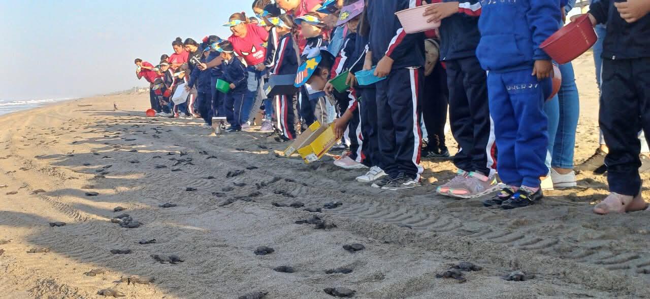 $!Celebran primer aniversario del Programa de Manejo del Santuario Playa Huizache-Caimanero