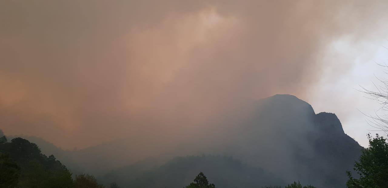 $!Por incendios en Coahuila y Nuevo León, hay 450 afectados