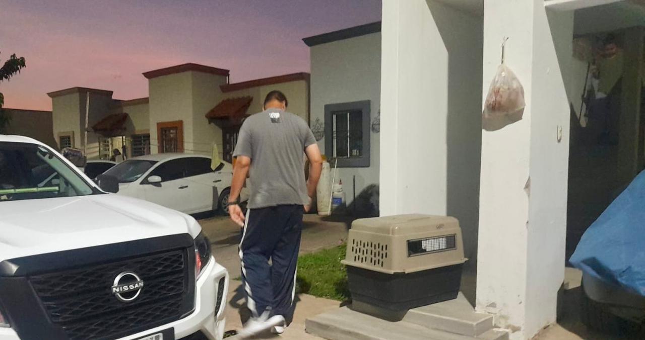 $!Rescata PC Municipal y GEPA a un perro pitbull del techo de una casa, en Culiacán