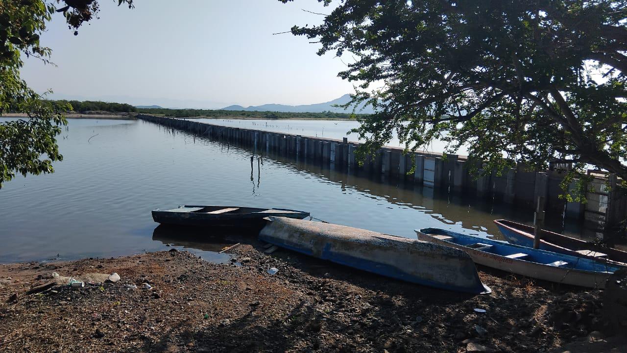 $!Desolador inicio de capturas del camarón, señalaron pescadores del sur de Sinaloa