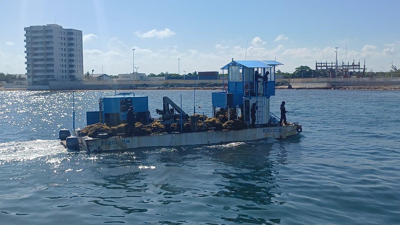 $!Refuerza Marina estrategia contra sargazo en el litoral de Quintana Roo