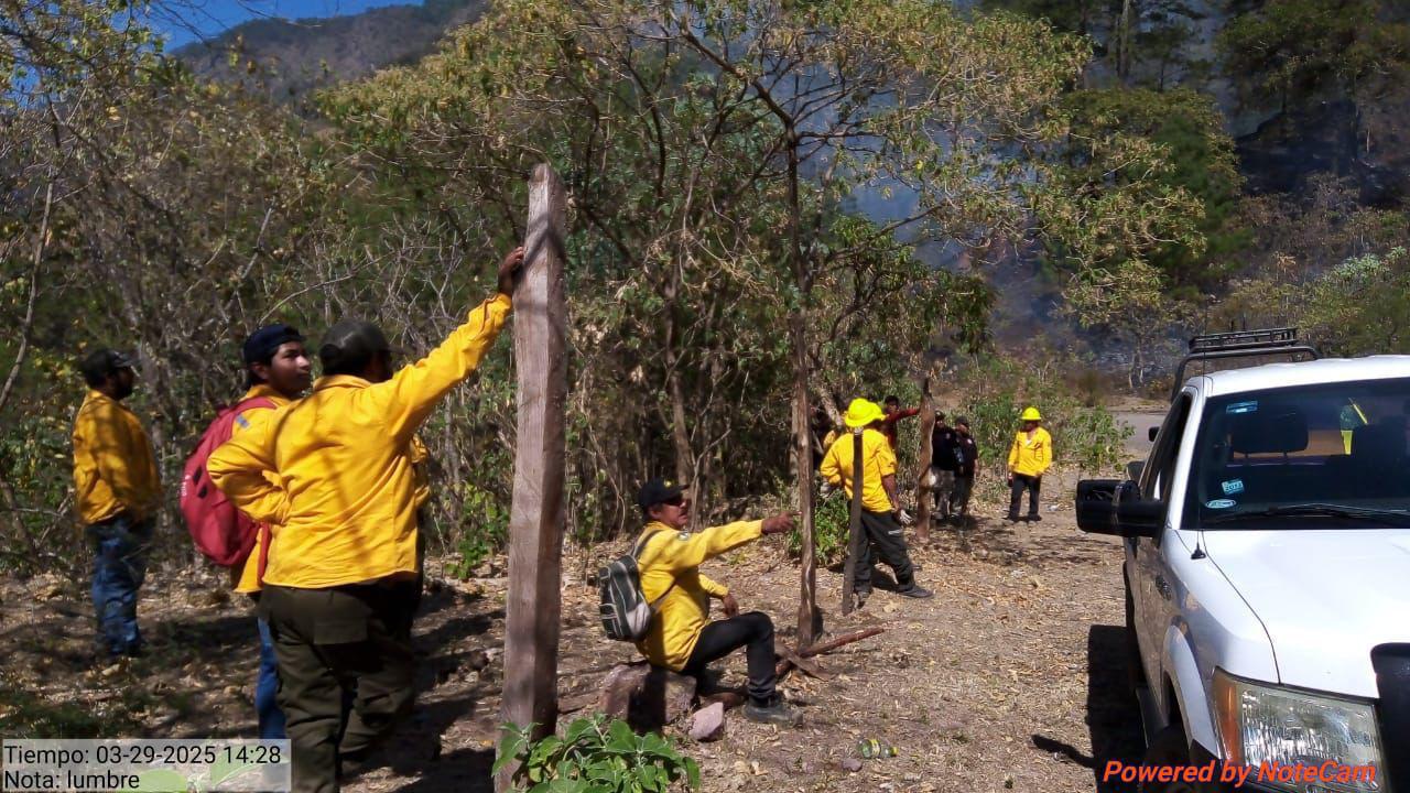 $!Reporta Gobierno de Sinaloa que incendio en sierra de Concordia está controlado