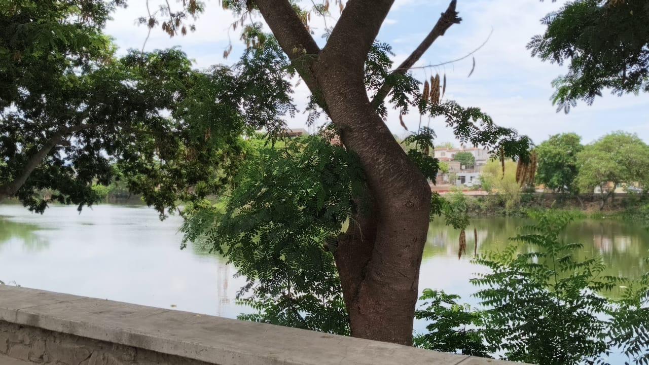 $!Lluvias llenan la laguna del Iguanero, en Rosario; vecinos piden desfogarla