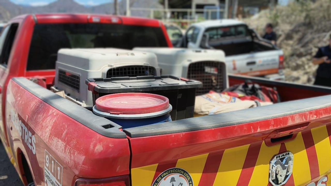 $!Servicio se paga con el regreso de mineros a su familia, dicen rescatistas de Jalisco en Rosario