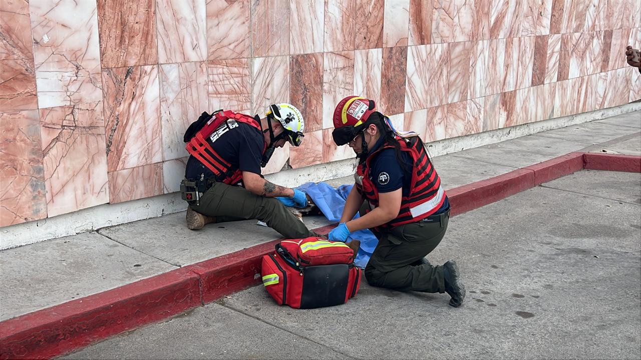 $!Grupo Gerum cumple 10 años de brindar auxilio a la población de Culiacán