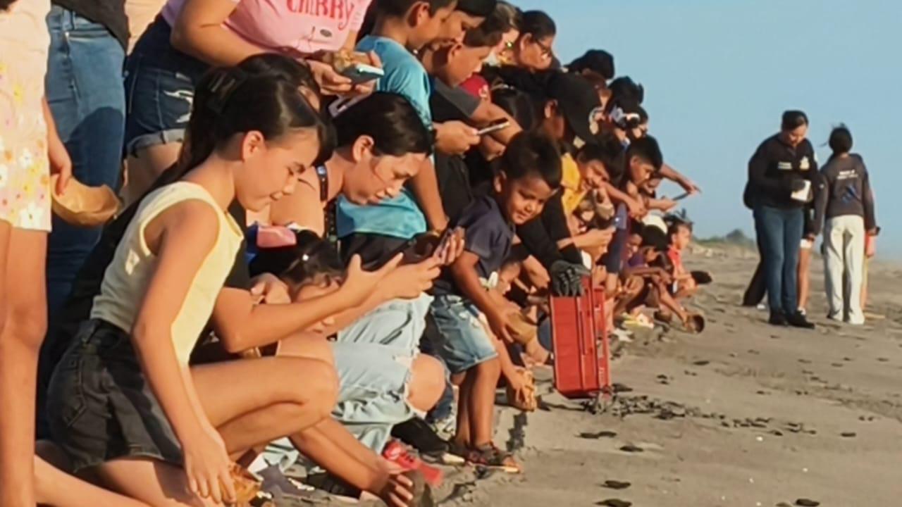 $!Realizan en Rosario la primera liberación masiva de crías de tortuga marina de la temporada