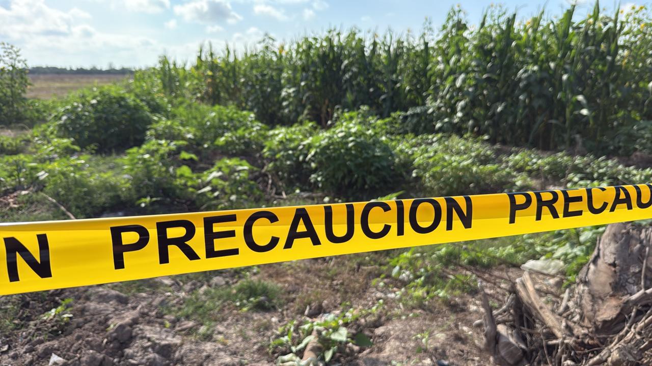 $!Localizan a un hombre asesinado a golpes en parcela agrícola de Navolato