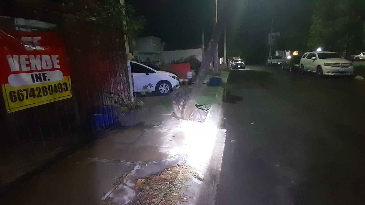 $!Caída de espectaculares, árboles y desbordamiento de arroyos dejan lluvias en Culiacán