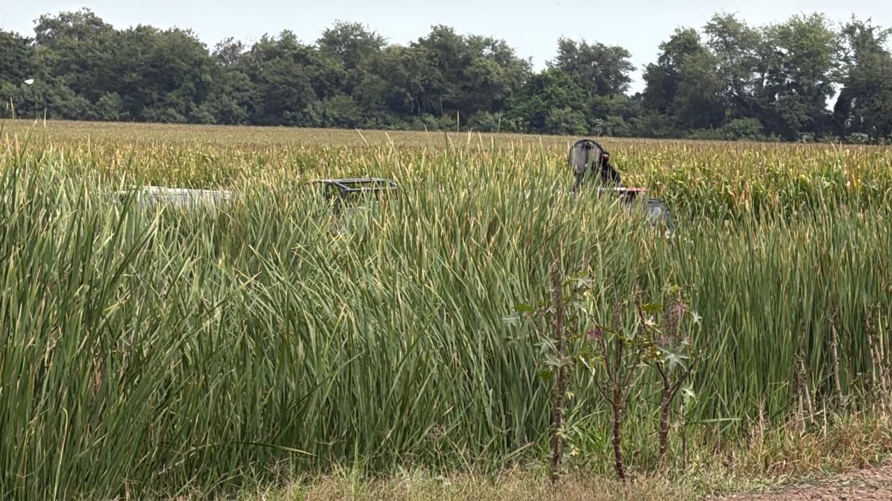 $!Localizan cuerpo en estado de descomposición en Campo Chaparral, en Navolato