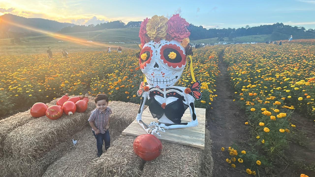 $!Inauguran en Surutato el primer campo de cempasúchil de Sinaloa