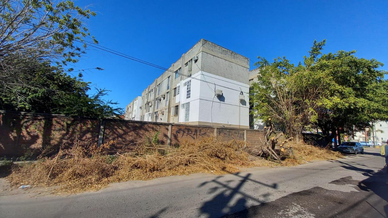 $!A más de 15 días del azote de ‘Pamela’, árboles y ramas arrancados por los vientos bloquean banquetas y vialidades de Mazatlán