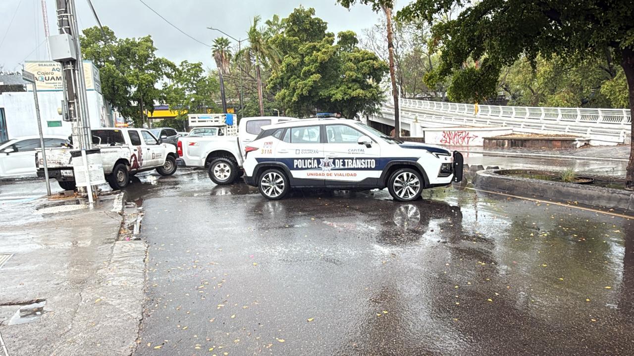 $!Cae árbol sobre el Malecón Viejo durante lluvia este sábado en Culiacán