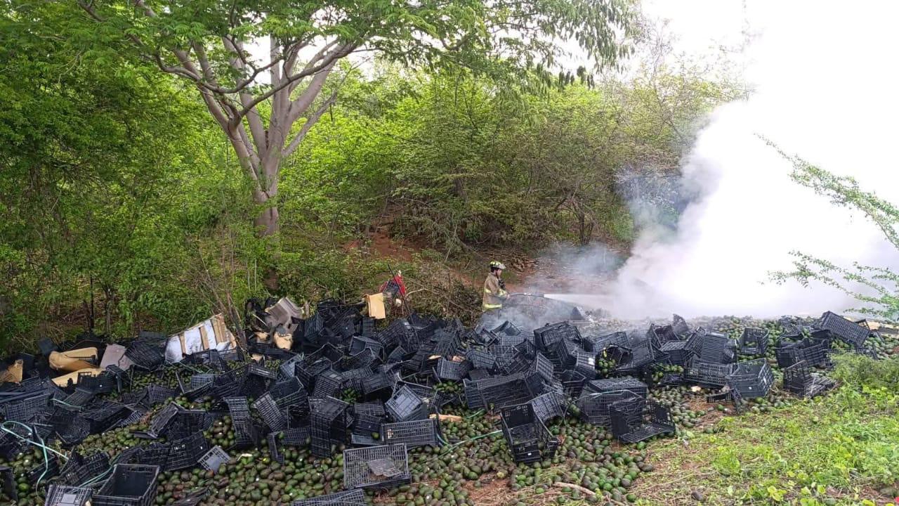 $!Conductor muere tras accidente e incendio de su tráiler en la autopista Tepic-Mazatlán