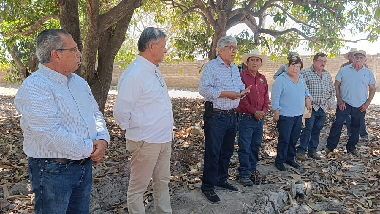 $!Se reúnen autoridades y productores de mago en Escuinapa para buscar alternativas y revisar huertas