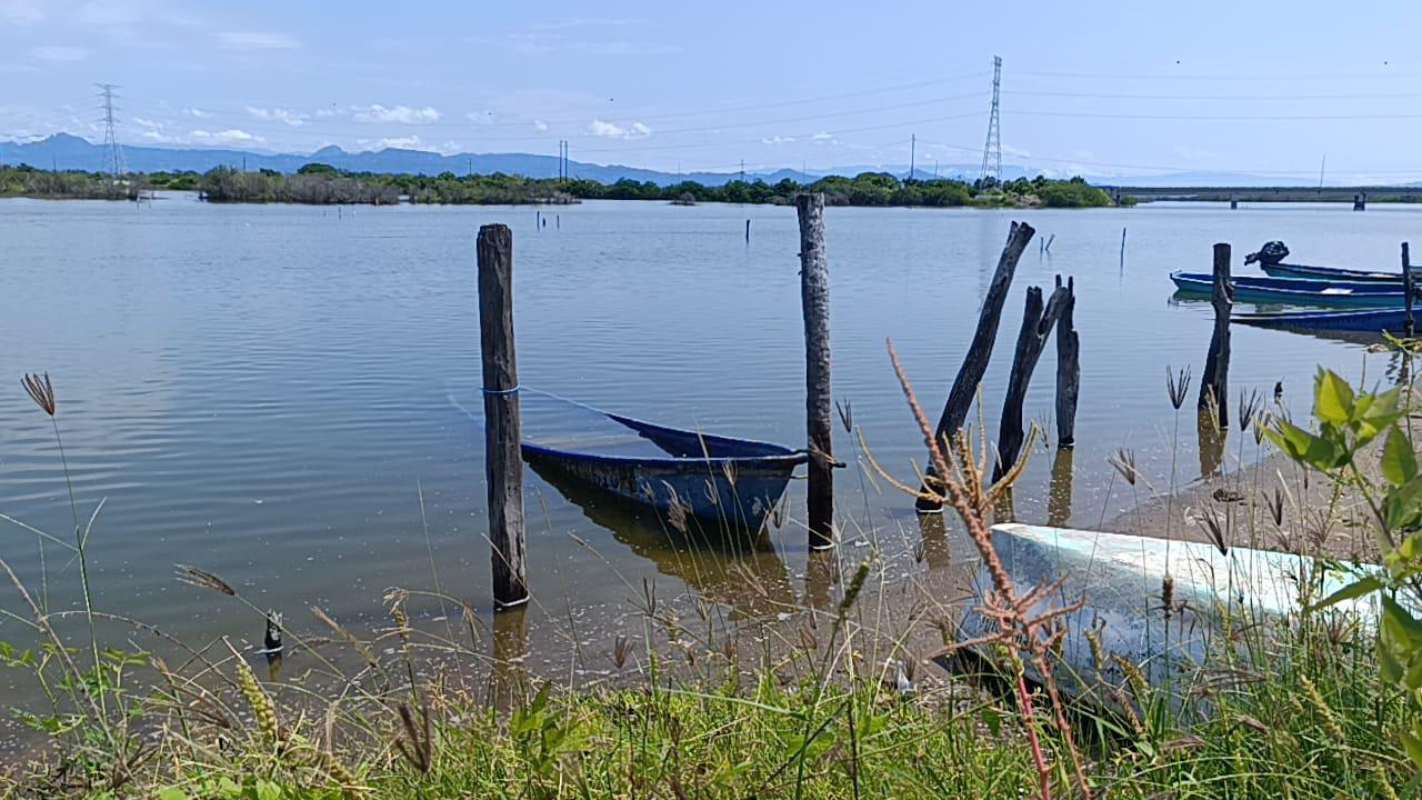 $!Advierten fracaso en la temporada de camarón en Escuinapa