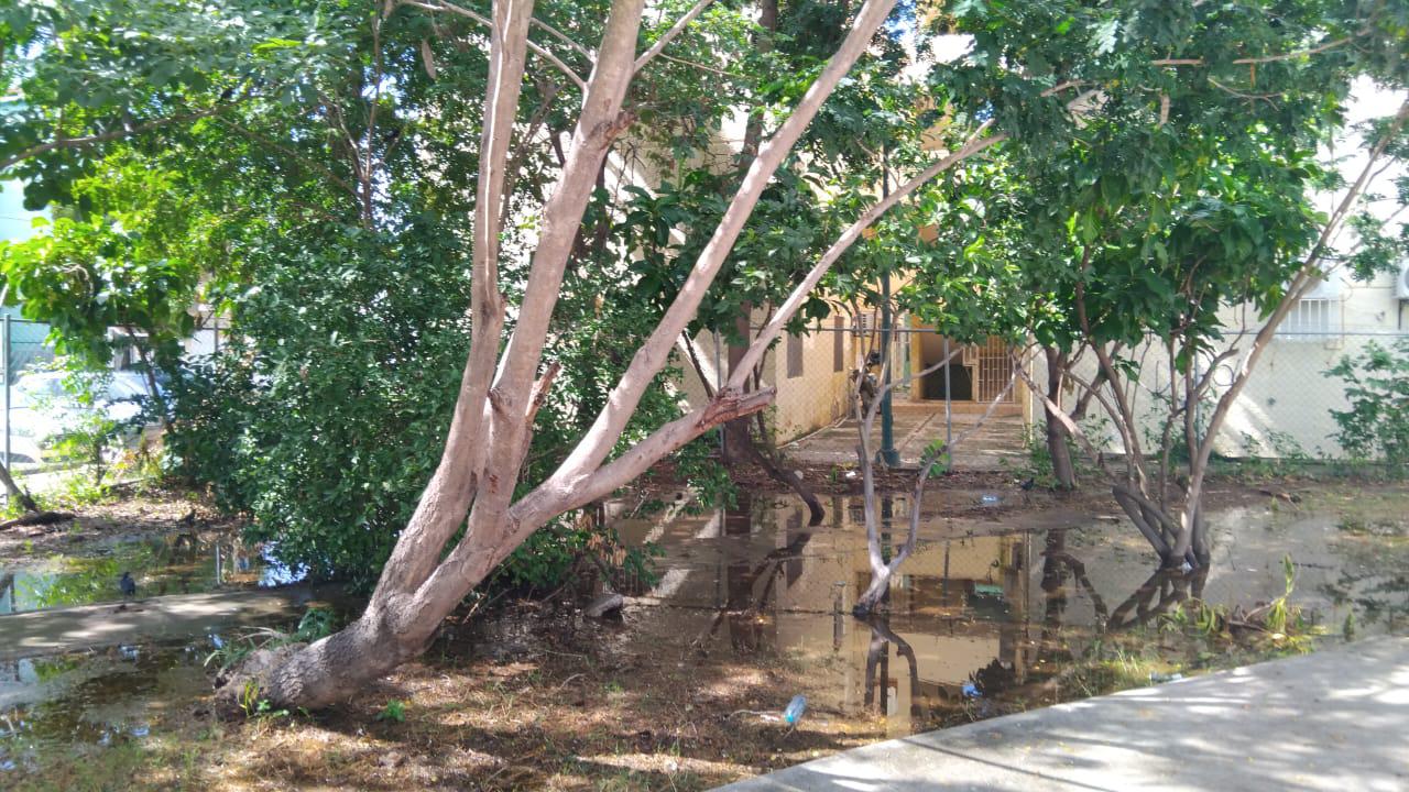 $!Continúa problema de basura en el fraccionamiento El Toro, en Mazatlán