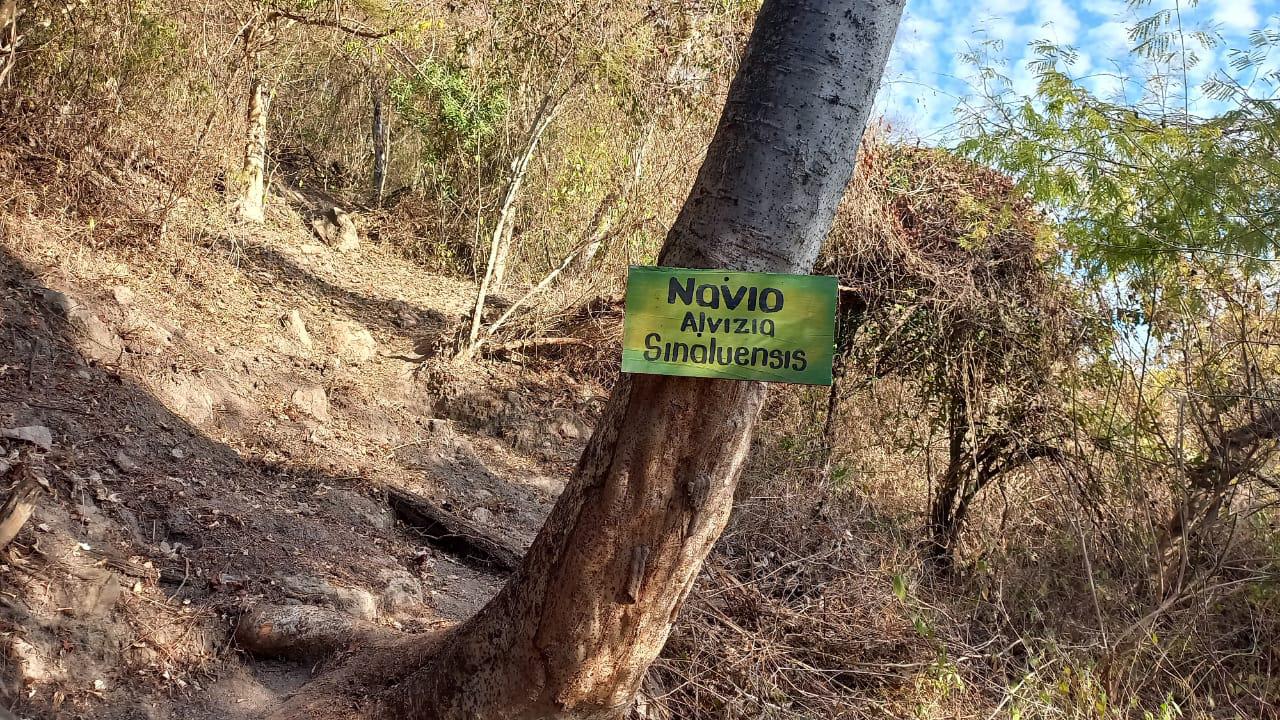 $!Se invierte en proyectos ecoturísticos en comunidades de Escuinapa: Turismo