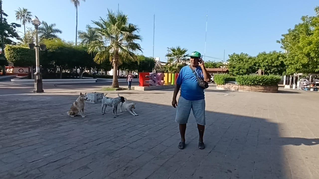 $!Perritos custodian la plazuela Ramón Corona, en Escuinapa