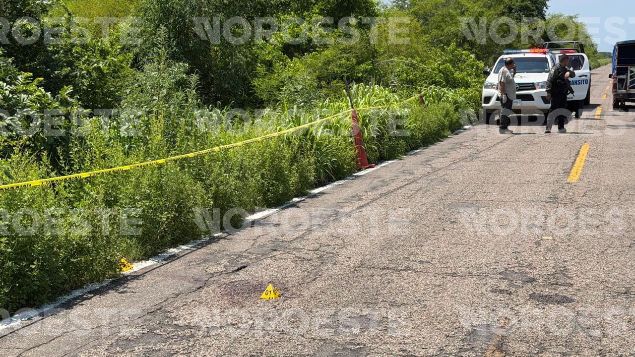 $!Muere motociclista tras un accidente en la carretera Estatal Los Pozos-Caimanero en Rosario