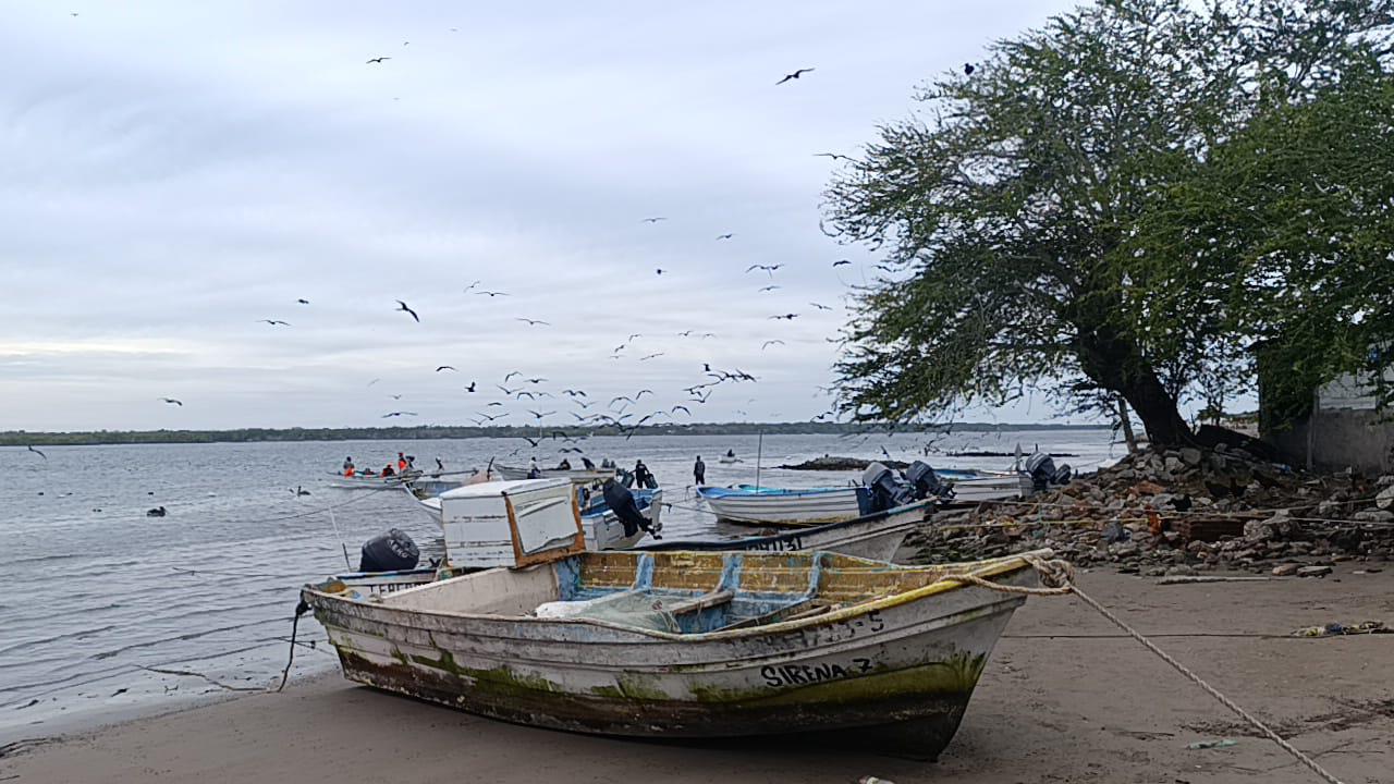 $!Inicia Capitanía de Puerto censo de embarcaciones en Escuinapa