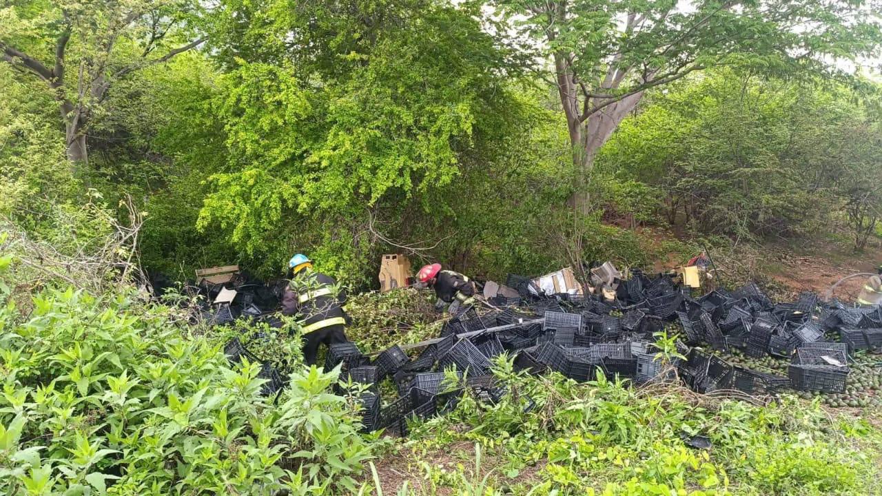 $!Conductor muere tras accidente e incendio de su tráiler en la autopista Tepic-Mazatlán