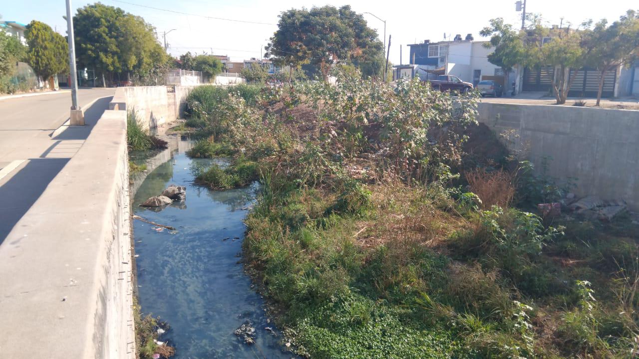 $!Vecinos de La Foresta exigen intervención de Jumapam por fugas de agua y contaminación del arroyo Jabalines