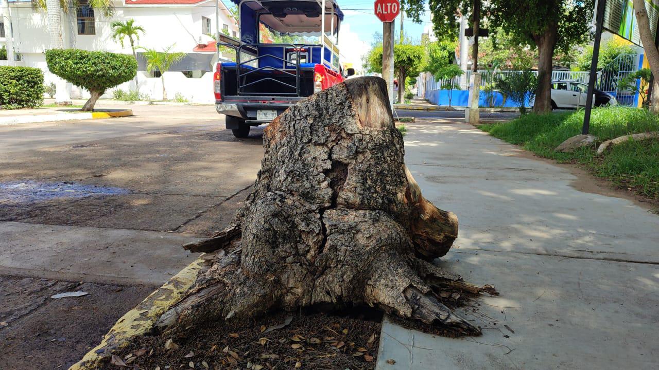 $!Atenderá Imdem rehabilitación de cancha de baloncesto del Sábalo Country