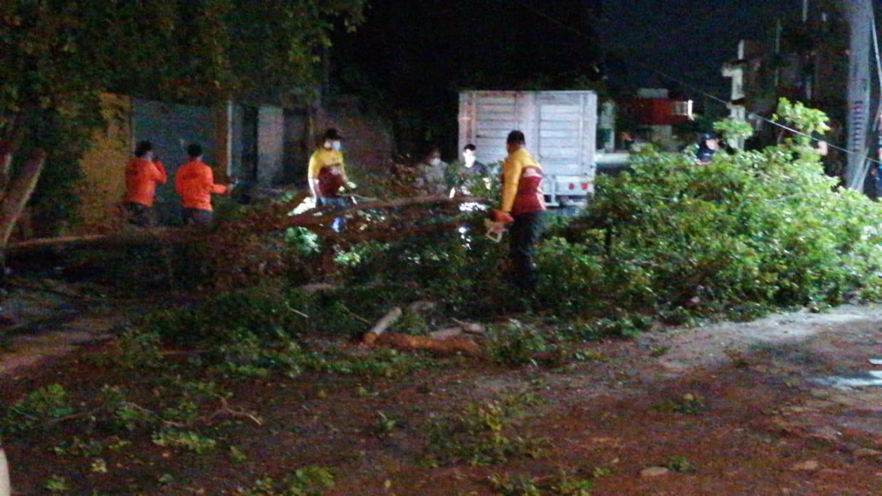 $!Suman Comuna más de 150 reportes de árboles y mil alcantarillas tapadas por las lluvias, en Culiacán