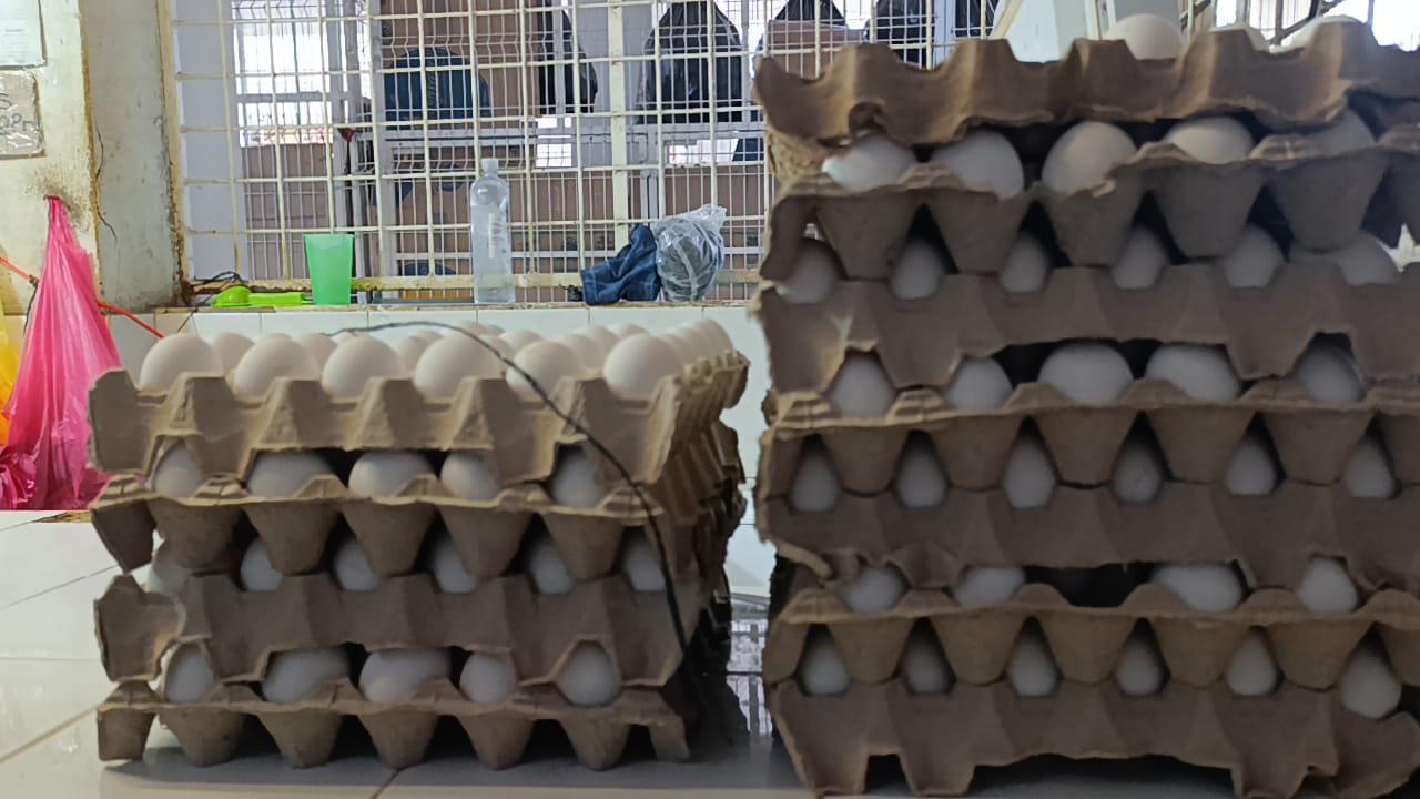 $!Incrementa precio del huevo de entre 10 y 25 pesos por cartera en Escuinapa