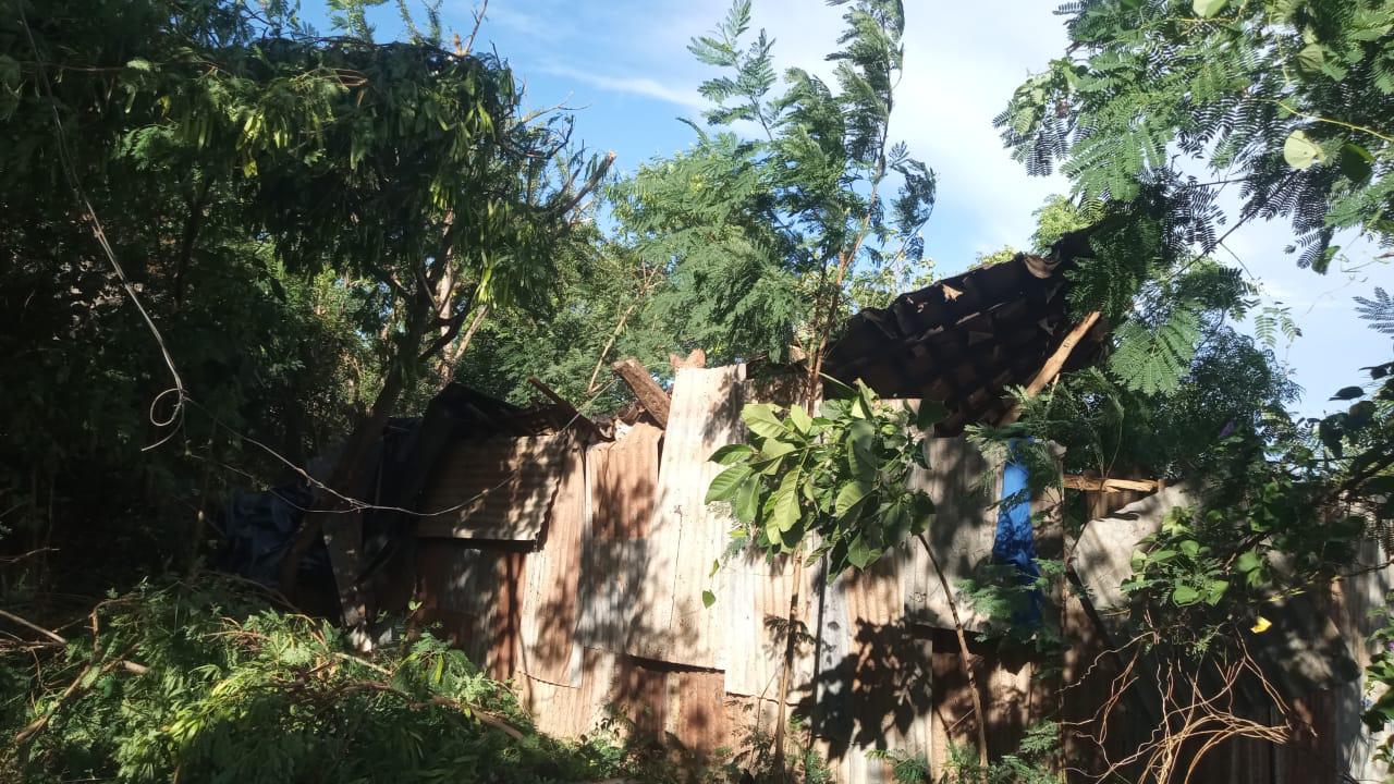 $!Se quedan sin nada tras paso de ‘Vance’ en El Rosario: solicitan apoyo para familia golpeada por la tormenta