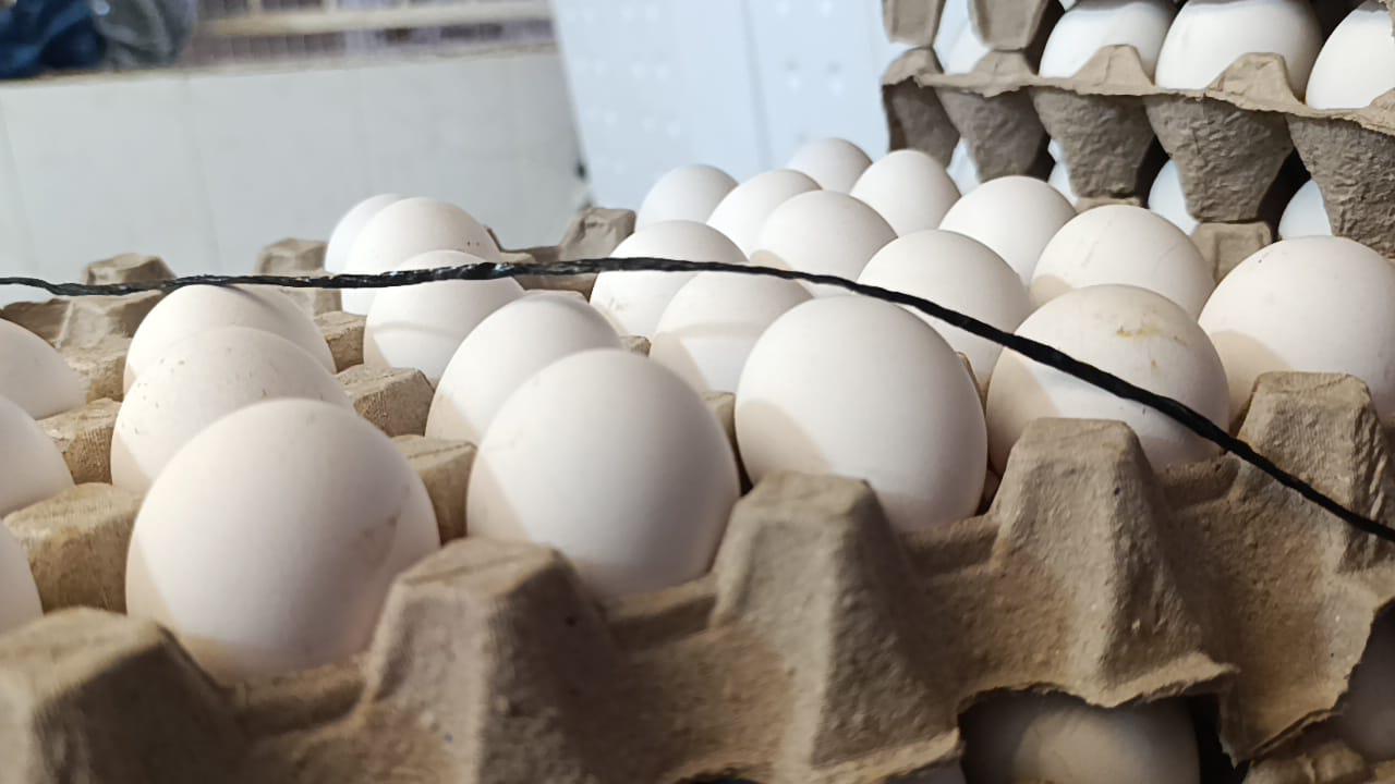 $!Incrementa precio del huevo de entre 10 y 25 pesos por cartera en Escuinapa