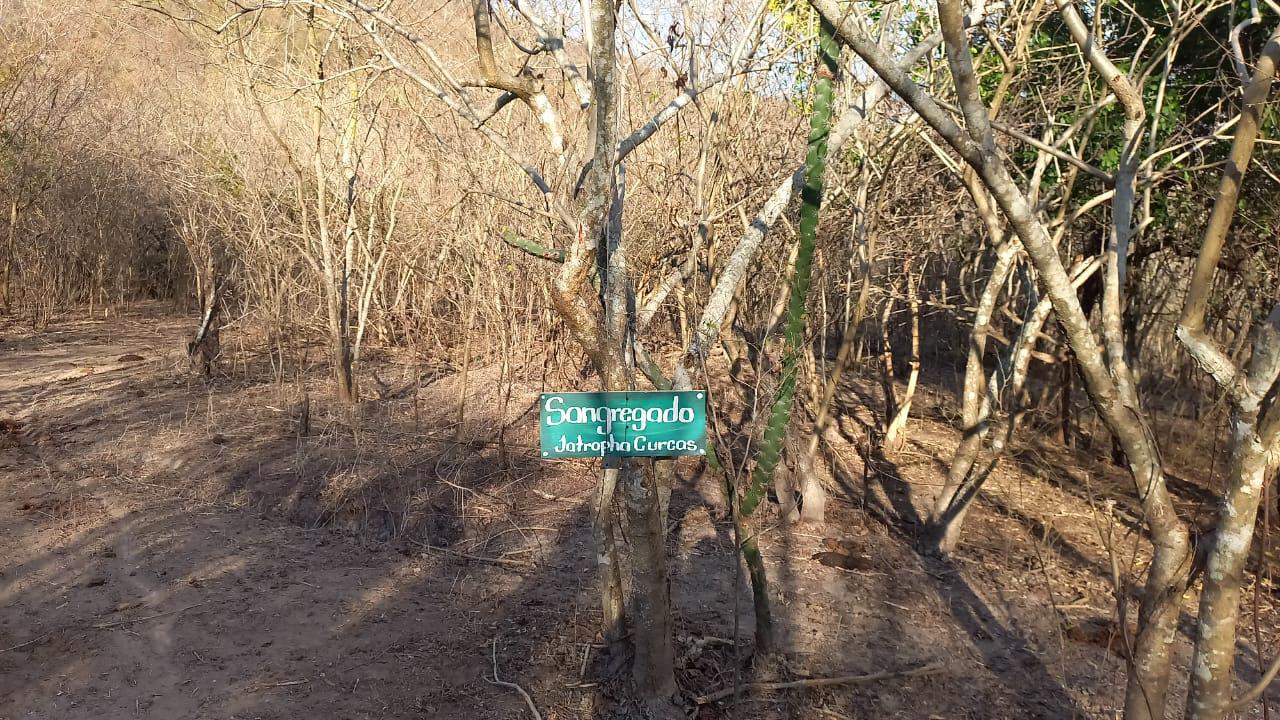 $!Se invierte en proyectos ecoturísticos en comunidades de Escuinapa: Turismo