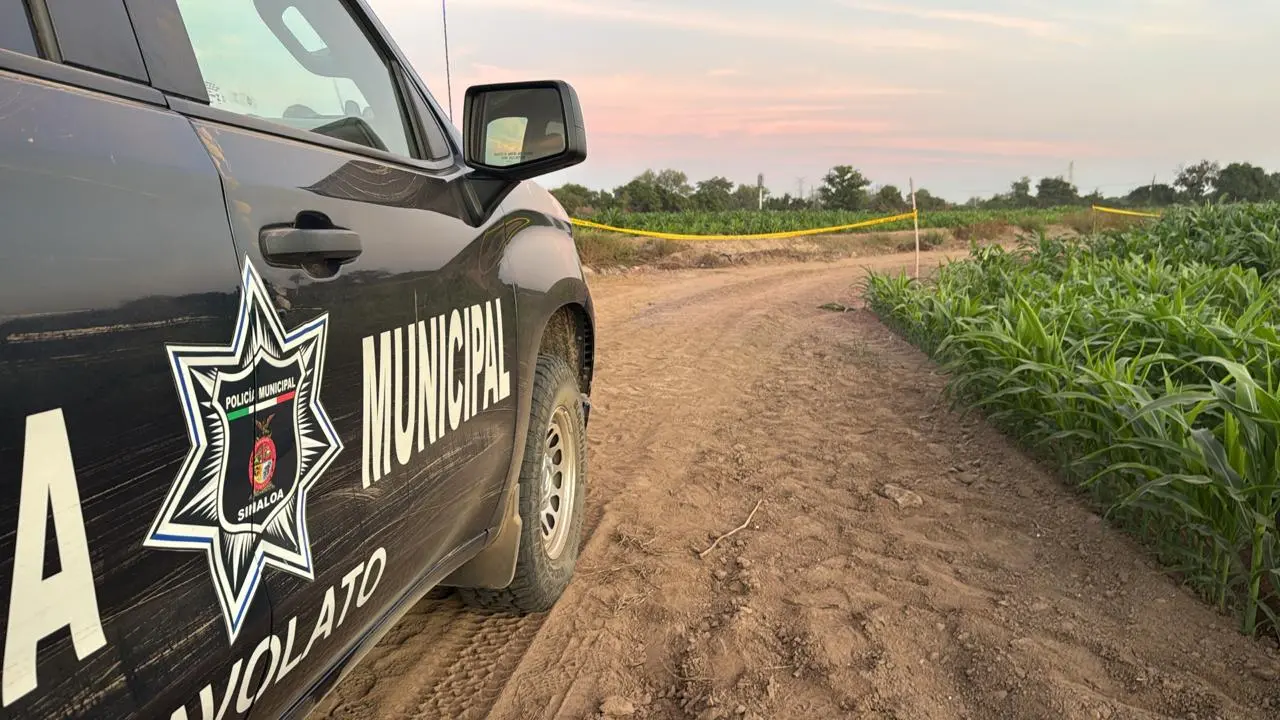 $!Localizan cuerpo enterrado en campo agrícola de la comunidad Laguna de San Pedro, en Navolato