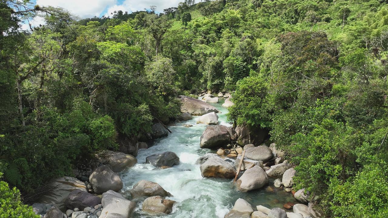 $!En Ecuador, la minería ilegal destruye un afluente del Amazonas y amenaza a una ciudad