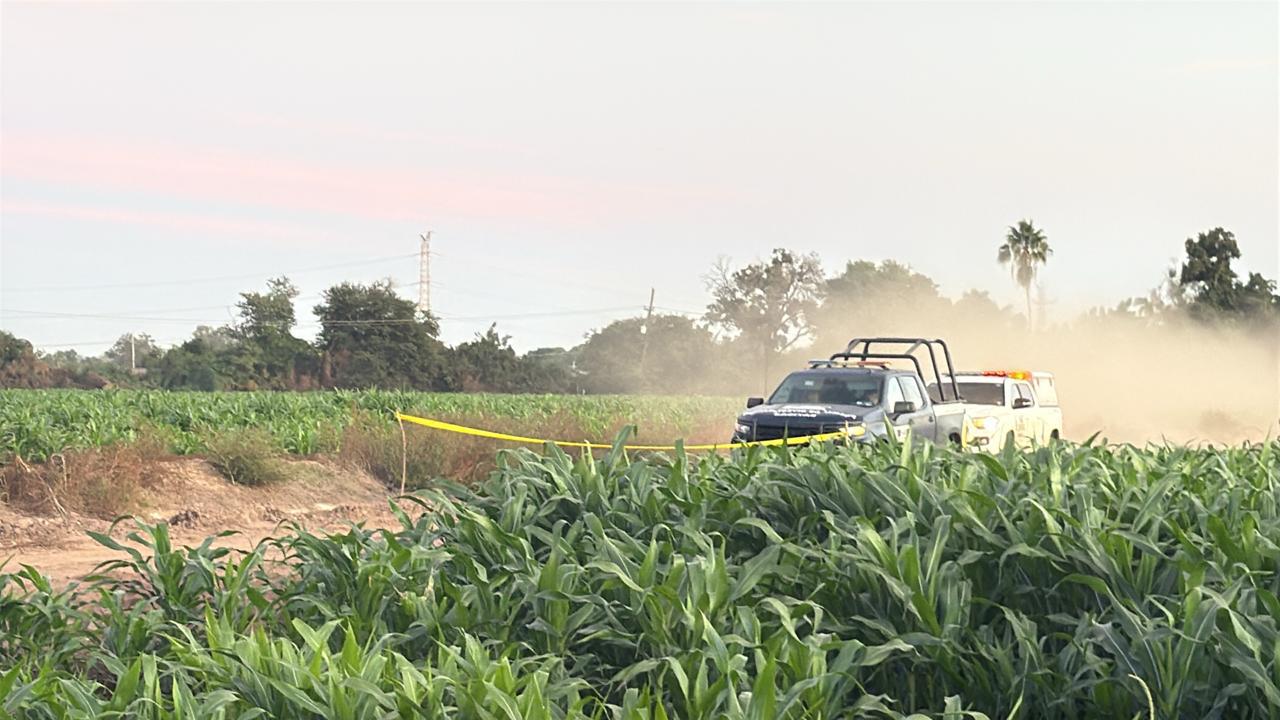 $!Localizan cuerpo enterrado en campo agrícola de la comunidad Laguna de San Pedro, en Navolato