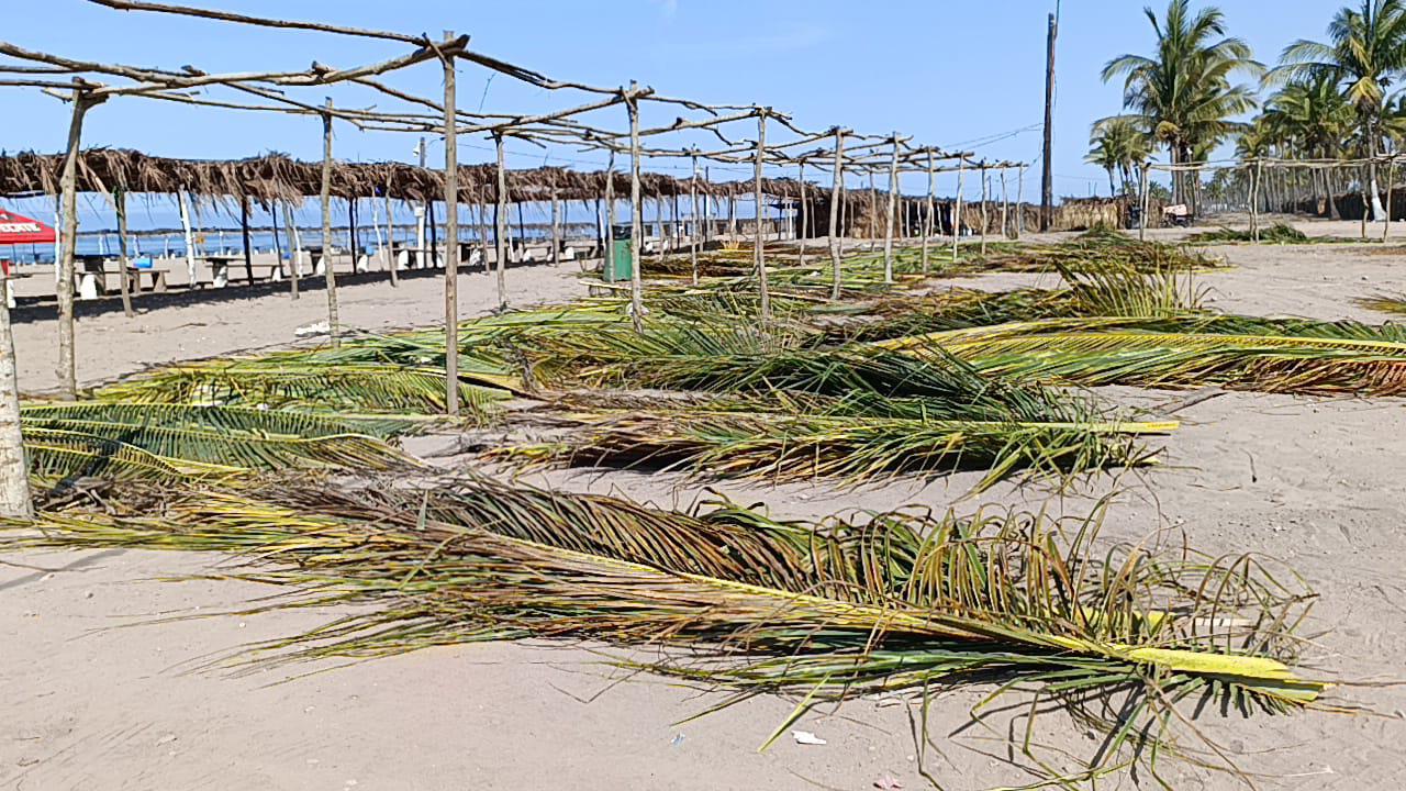 $!Vence plazo para pago de enramadas en Las Cabras, en Escuinapa