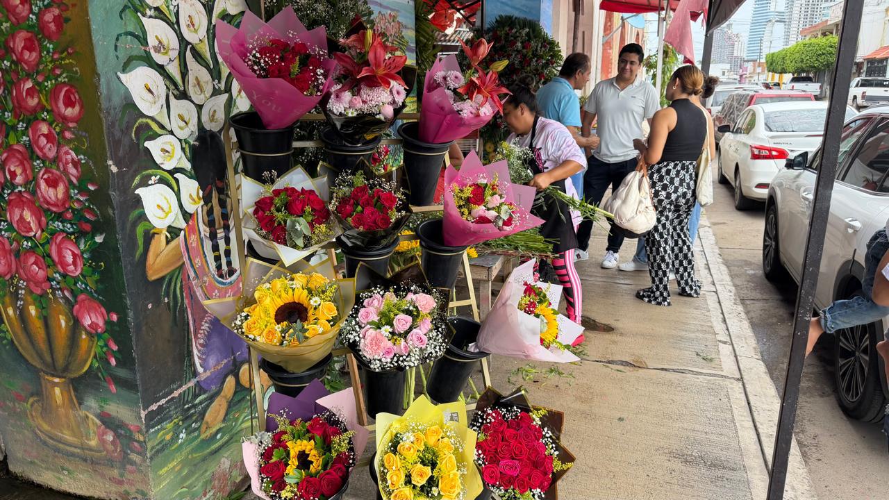 $!Buscan jóvenes las flores amarillas en Mazatlán