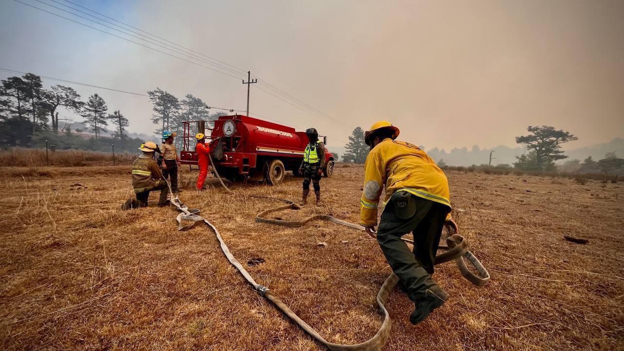 $!Jalisco perdió más de 100 mil hectáreas de bosques a causa de los incendios