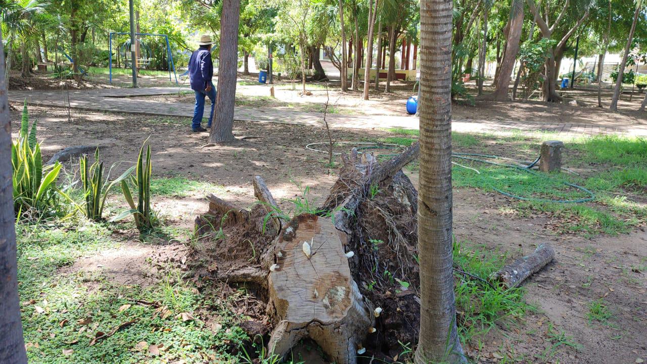 $!Atenderá Imdem rehabilitación de cancha de baloncesto del Sábalo Country