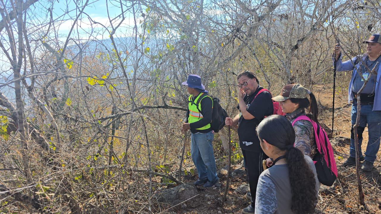$!Preparan ruta de senderismo para impulsar la imagen turística de Chametla