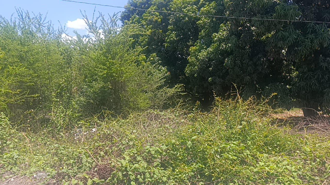 $!Temen en Escuinapa que terreno baldío en el malecón sea usado por delincuentes