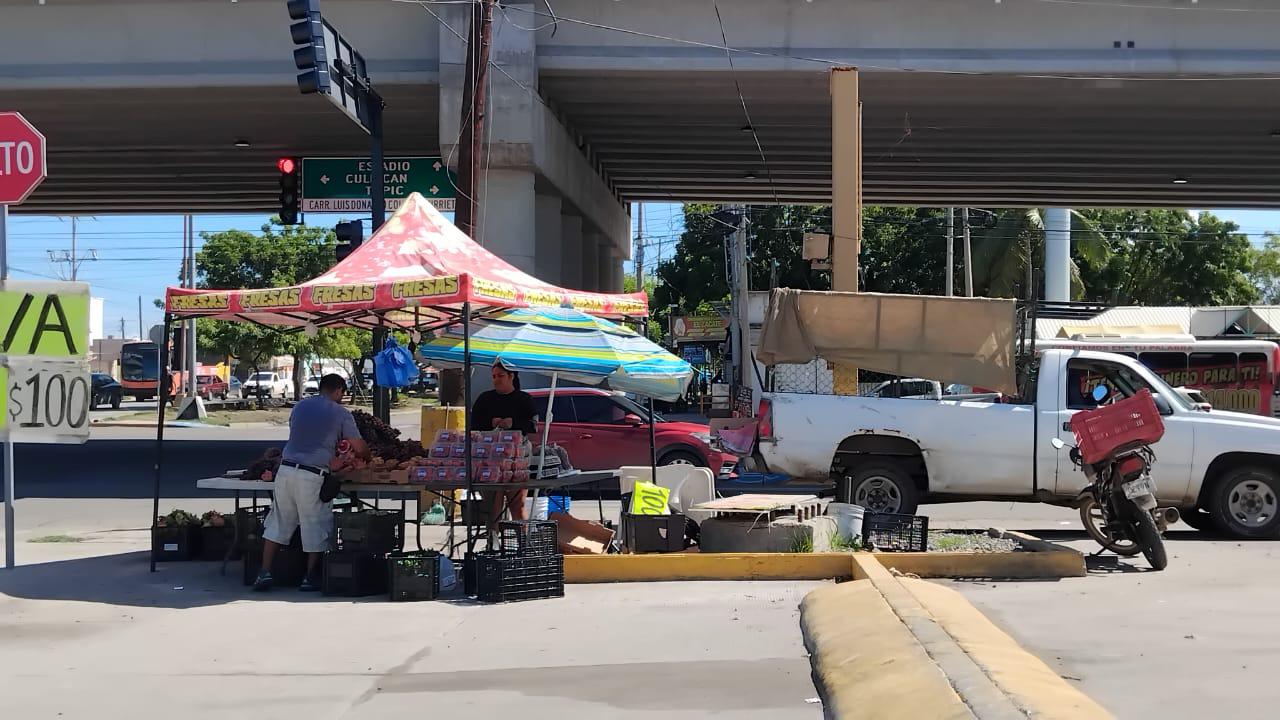 $!Llega la pitahaya saludable y de temporada a los cruceros de Mazatlán